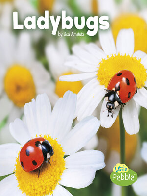 cover image of Ladybugs